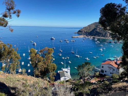 A scenic view of a calm bay with boats, surrounded by hills and trees under a clear blue sky.