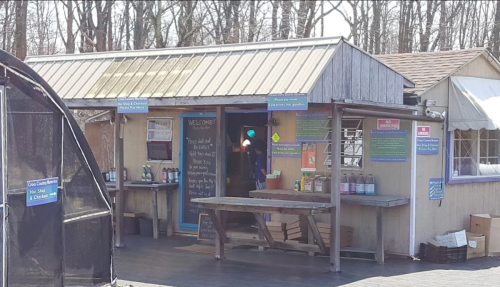 A small outdoor market building with signs, tables, and a welcoming entrance surrounded by trees.