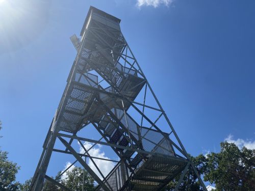 A tall metal observation tower against a clear blue sky, surrounded by trees. Sunlight shines from the top left.