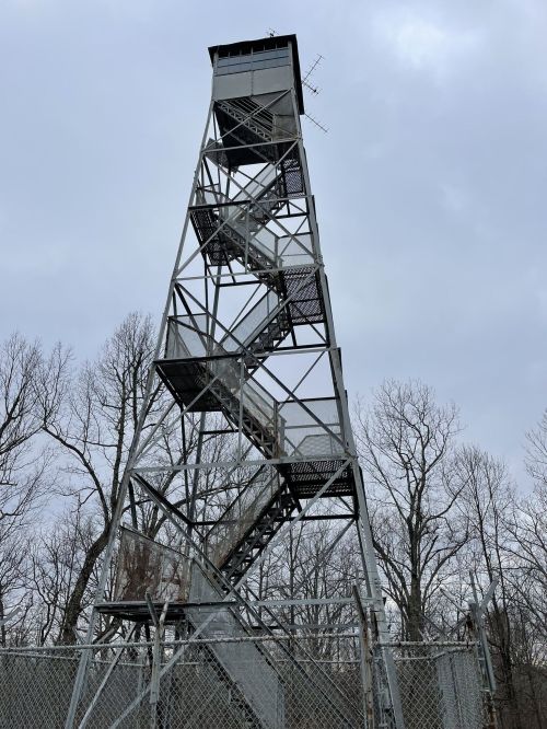 A tall metal observation tower with a staircase, surrounded by bare trees under a cloudy sky.