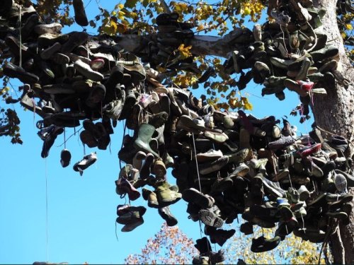 A tree adorned with various shoes hanging from its branches against a clear blue sky.