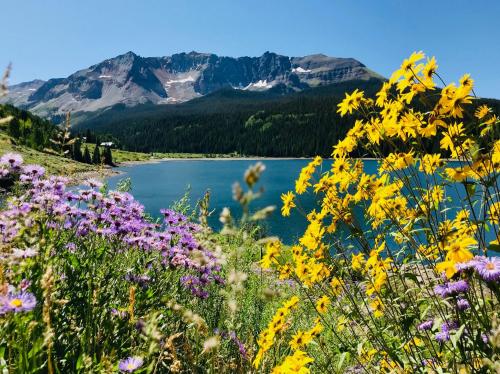 A scenic view of a lake surrounded by vibrant wildflowers and mountains under a clear blue sky.