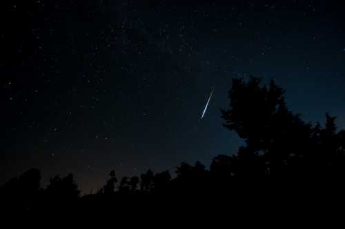 A starry night sky with a bright meteor streaking across, silhouetted trees in the foreground.