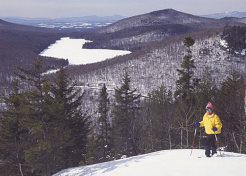 A person in a yellow jacket skis on a snowy slope, overlooking a frozen lake and mountains in the background.