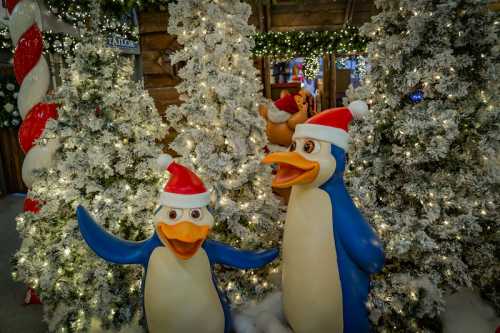 Two cheerful penguin statues wearing Santa hats stand among snowy trees adorned with lights.