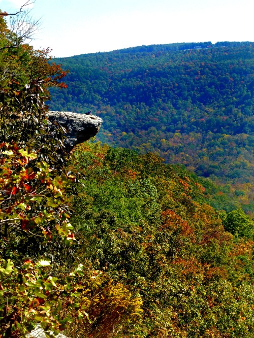 A rocky cliff overlooks a vibrant forested landscape with autumn foliage and distant hills under a clear blue sky.