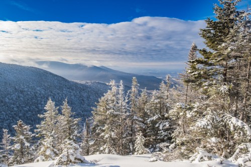 Snow-covered trees overlook a mountainous landscape under a bright blue sky with scattered clouds.