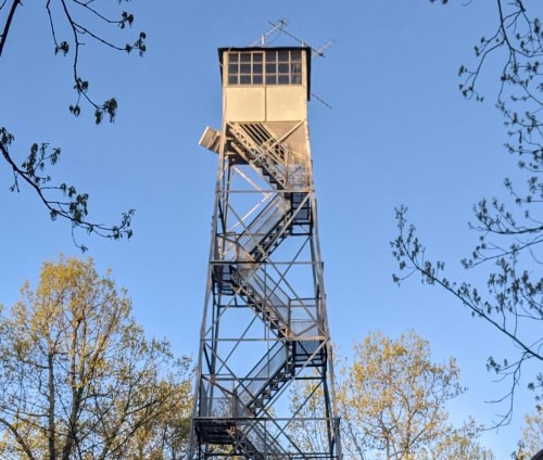 A tall metal observation tower with a staircase, surrounded by trees against a clear blue sky.