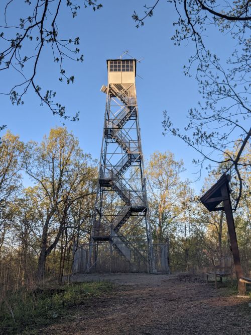 A tall metal fire tower surrounded by trees under a clear blue sky. A path leads to its base.
