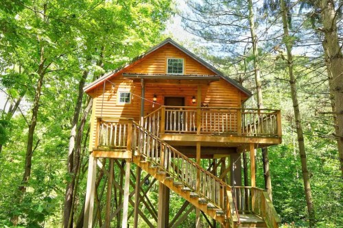 A wooden treehouse with a balcony, nestled among tall green trees in a forest setting.