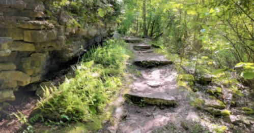 A winding stone path through lush greenery and trees, bordered by a rocky cliff.