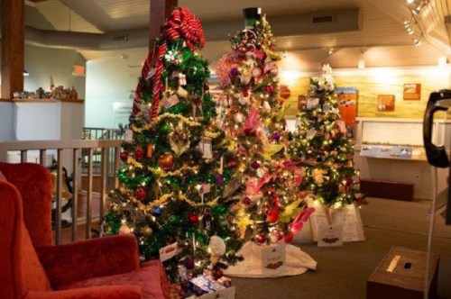 Three beautifully decorated Christmas trees with colorful ornaments and lights, set in a cozy indoor space.
