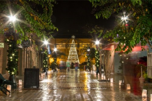 A festive street at night, featuring a Christmas tree and illuminated decorations among trees and buildings.