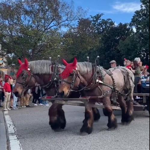 Two horses with red hats pull a wagon down a street, surrounded by onlookers and trees in the background.