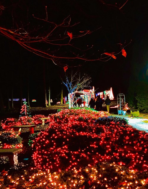 A festive display of colorful Christmas lights illuminates a garden path at night, with people walking through.