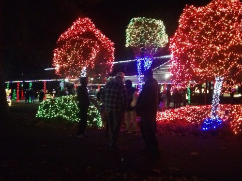 People gather under colorful holiday lights illuminating trees and decorations in a festive outdoor setting.