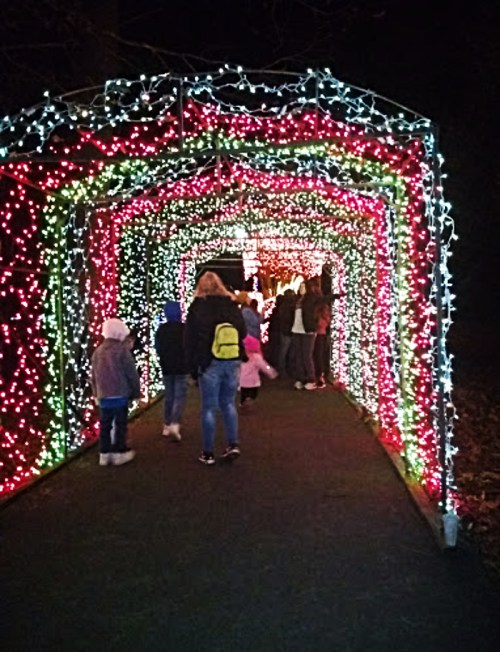A colorful archway of holiday lights with people walking through it at night.