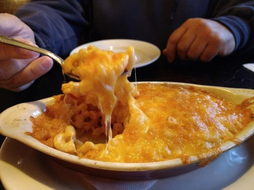 A person holds a fork with cheesy macaroni and cheese in a baked dish, with melted cheese stretching from the dish.