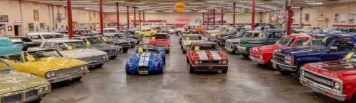 A spacious car showroom filled with various classic cars in vibrant colors, neatly arranged in rows.