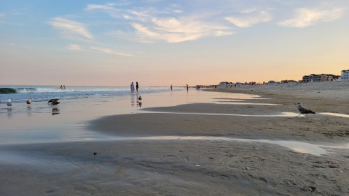 A serene beach scene at sunset, with people walking along the shore and seagulls near the water's edge.