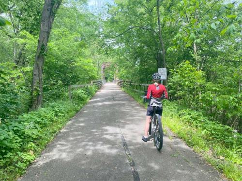 A person rides a bike on a tree-lined path, surrounded by lush greenery and sunlight filtering through the leaves.