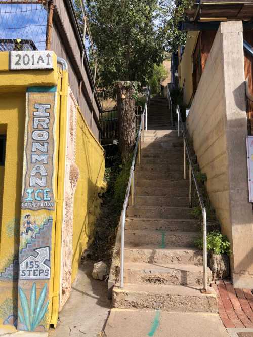 A concrete staircase with handrails, flanked by buildings and greenery, leading up a hillside. Sign indicates 155 steps.