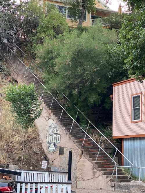 Staircase leading up a hillside with greenery, a house above, and a sign reading "1000" at the base.