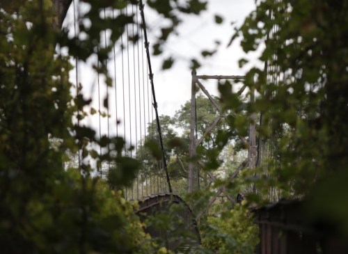 A view of a suspension bridge partially obscured by lush greenery and trees in the background.