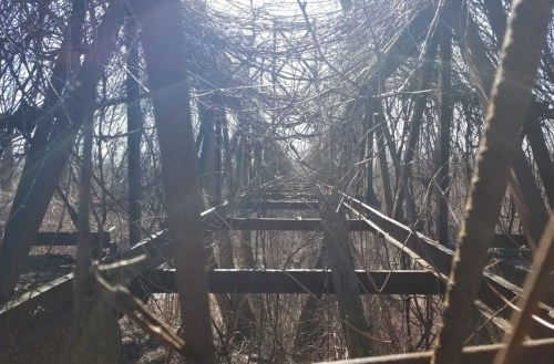 A view of a dilapidated structure overgrown with vines and vegetation, creating a natural tunnel effect.