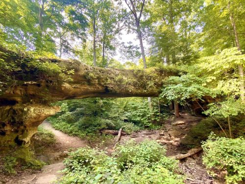 A natural stone arch surrounded by lush green trees and foliage, with a dirt path leading through the forest.