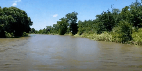 A calm river flows through lush greenery under a clear blue sky.