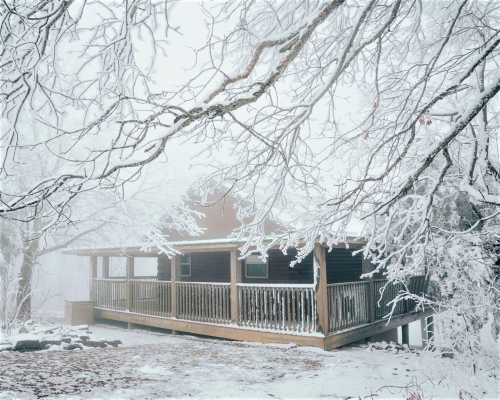 A wooden cabin surrounded by snow-covered trees in a foggy winter landscape.