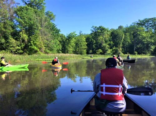 A group of people kayaking and canoeing on a calm river surrounded by lush greenery under a clear blue sky.