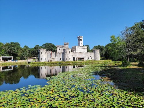 A castle with towers reflected in a calm lake, surrounded by greenery and lily pads under a clear blue sky.