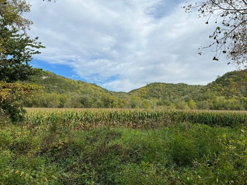 A scenic view of a cornfield surrounded by lush green hills under a partly cloudy sky.