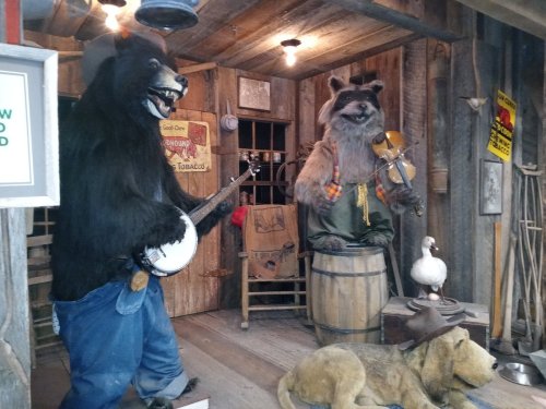 A bear playing a banjo and a raccoon with a fiddle, surrounded by a dog and a duck in a rustic cabin setting.