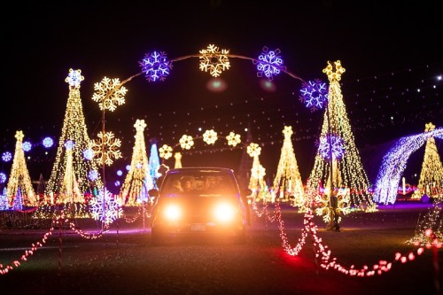 A car drives through a festive display of colorful Christmas lights and illuminated trees at night.