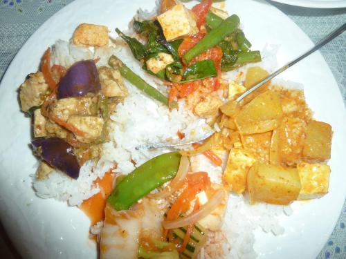A plate of rice with various colorful vegetable and tofu dishes, including green beans, eggplant, and spicy sauce.