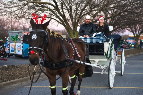 A horse-drawn carriage with a man in a cowboy hat and a woman in a Santa hat, both festive for the holiday season.