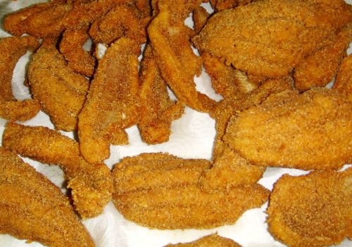 A close-up of golden-brown, crispy fried fish fillets arranged on a paper towel.