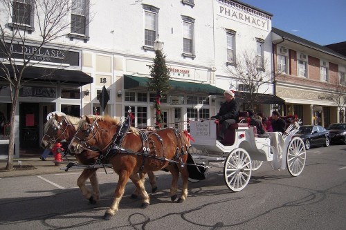 A horse-drawn carriage decorated for the holidays travels down a street lined with shops and trees.