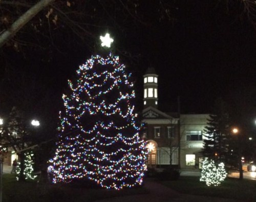 A brightly lit Christmas tree with colorful lights stands in a park at night, with a building and smaller trees in the background.