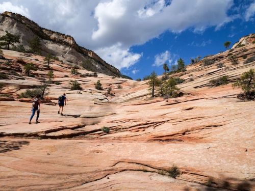 Two hikers ascend a rocky, sloped landscape with trees and blue skies in the background.