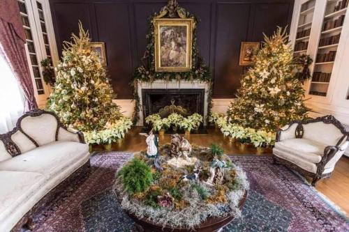 A festive room with two decorated Christmas trees, a fireplace, and a holiday-themed centerpiece on a coffee table.