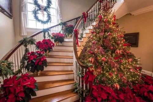 A beautifully decorated staircase with a Christmas tree and poinsettias, adorned with festive lights and ornaments.