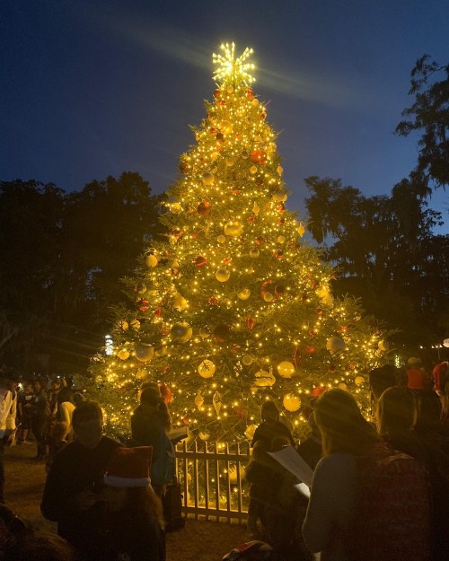 A beautifully lit Christmas tree adorned with ornaments, surrounded by people in festive attire at dusk.