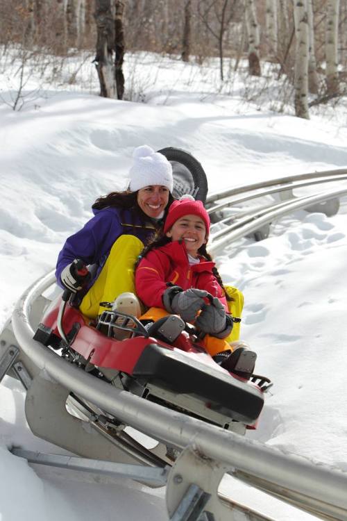 A woman and a child joyfully ride a snowy alpine coaster, surrounded by winter trees.