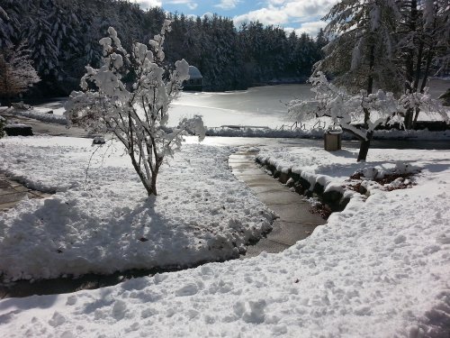 A snowy landscape with trees covered in frost, a frozen lake in the background, and a clear blue sky.