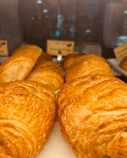 Freshly baked golden croissants displayed in a bakery case.