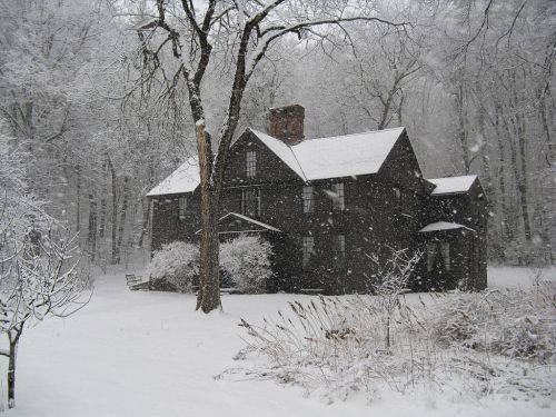 A dark house surrounded by snow-covered trees in a winter landscape, with snow gently falling.